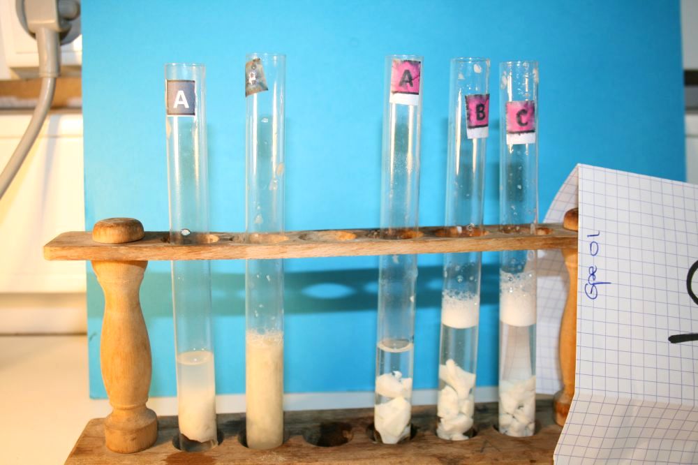 gal/LES_CINQUIEMES/ACTIVITE DIGESTION IN VITRO/Groupe_01/Groupe01_T_00h20min/Groupe01_temps00H20min_22.jpg